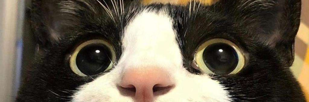 FASAGUZA's profile banner image