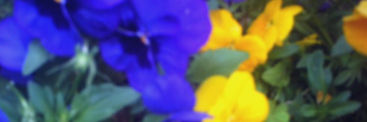 mgr_hon's profile banner image