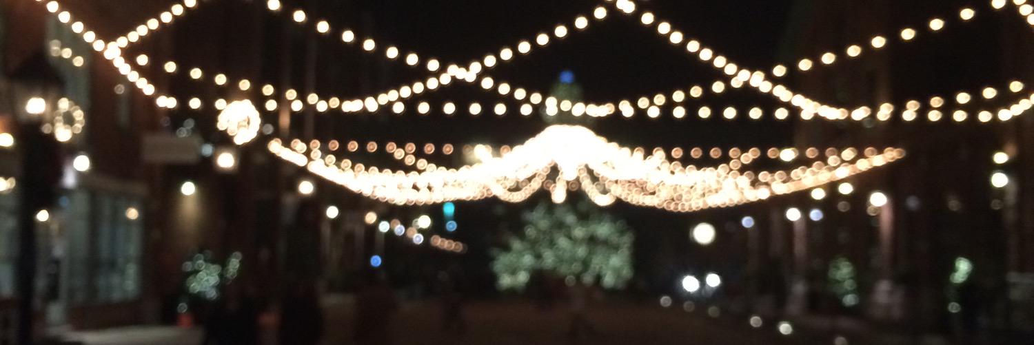 lporthouse's profile banner image