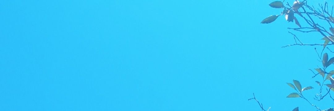 annaafya's profile banner image
