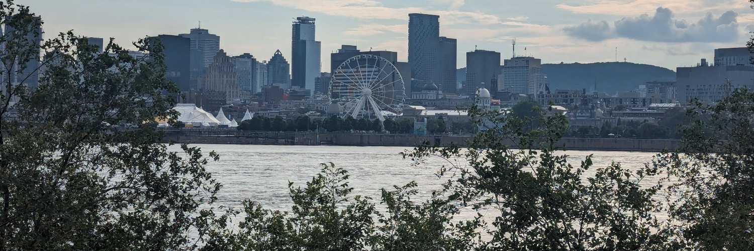 Marcheur de Montréal's banner