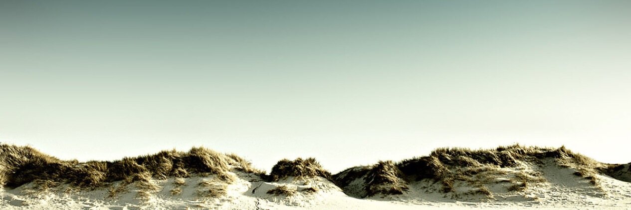 Mike Mac ™ banner