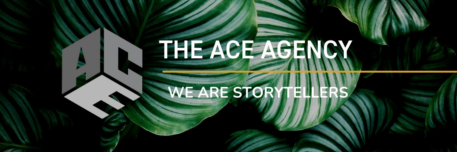 The ACE Agency banner