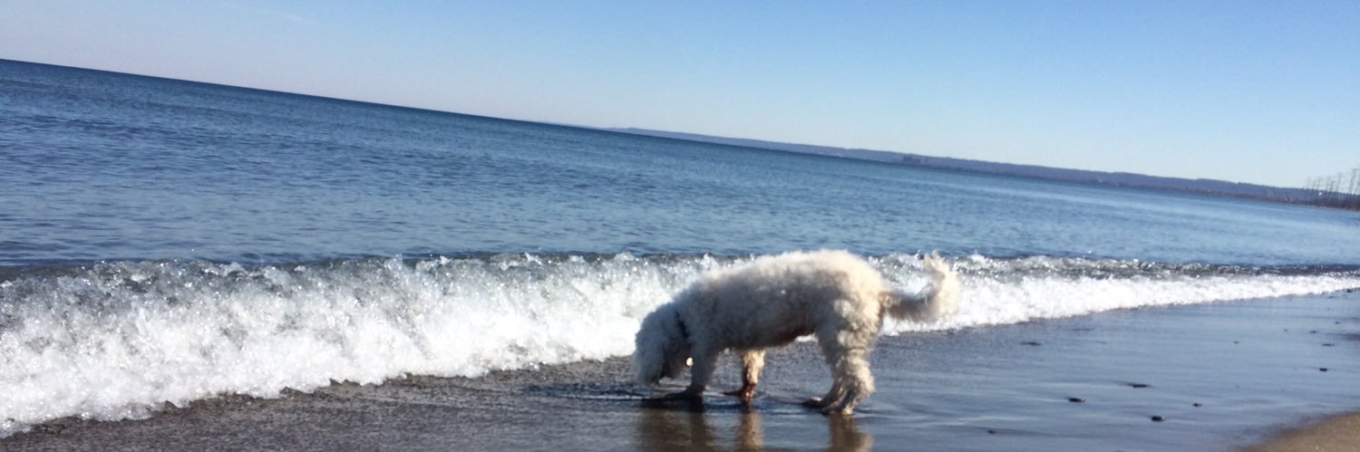 kennnie's profile banner image