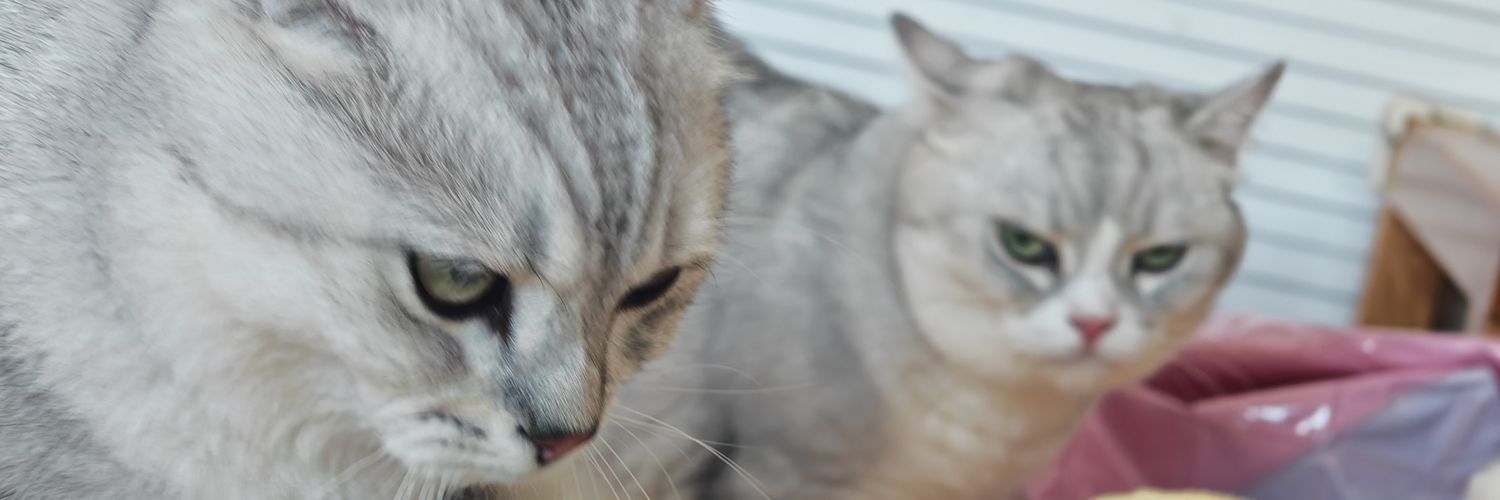 Adriank3412's profile banner image