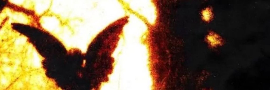 cappellasck's profile banner image
