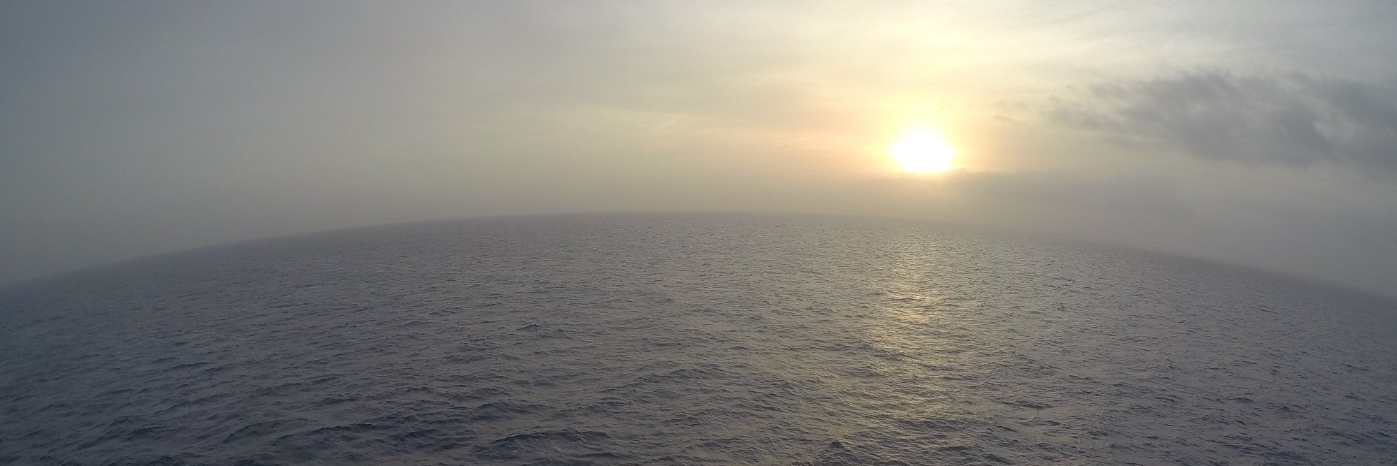 Acaccamisi's profile banner image