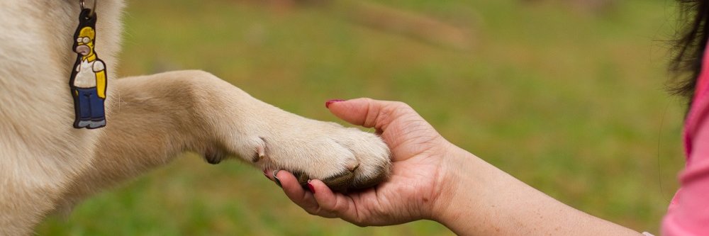 Sarita 💃🎶 banner