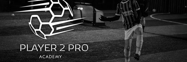 Player2Pro_ Profile Banner
