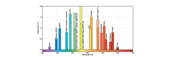 ghostpathogen Profile Banner