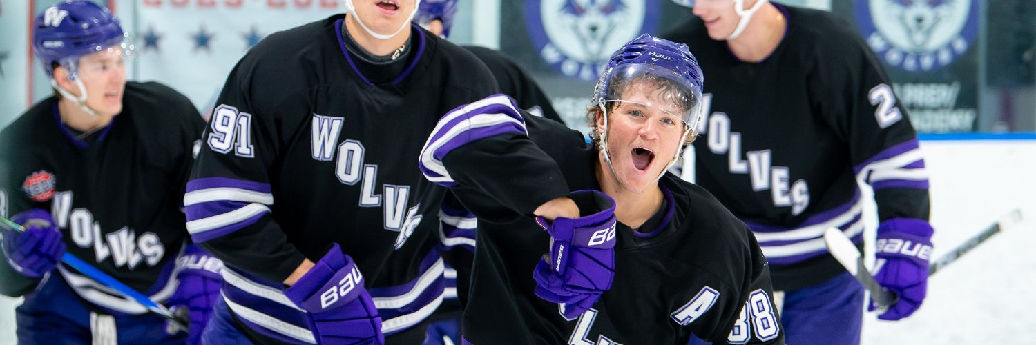 WC_Wolves's profile banner image