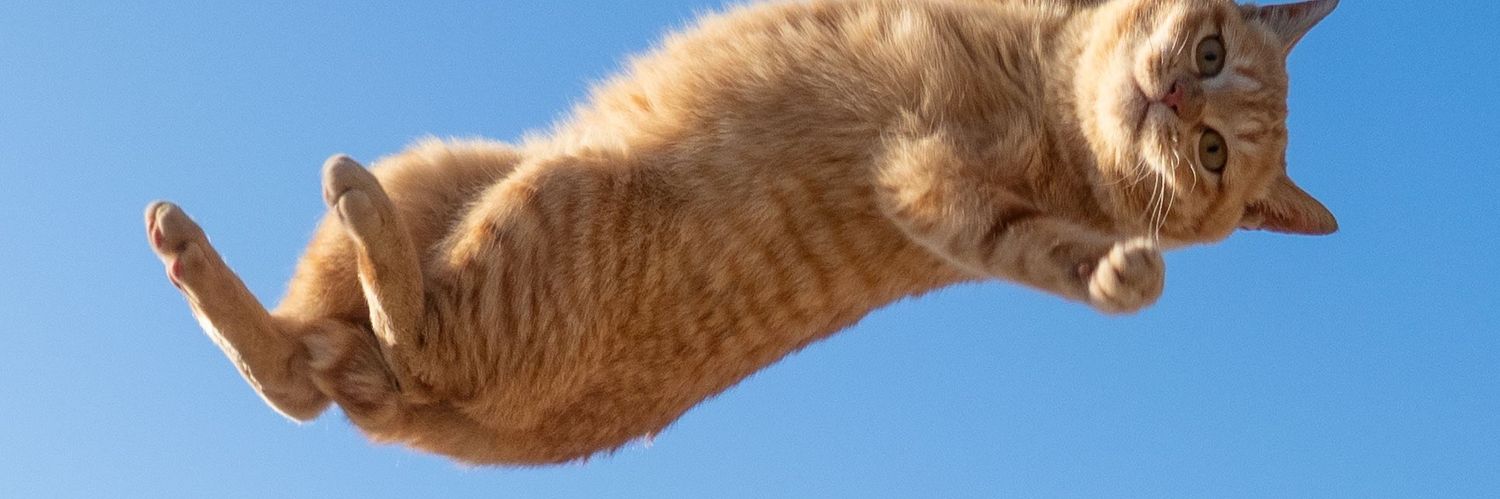 stncoo's profile banner image