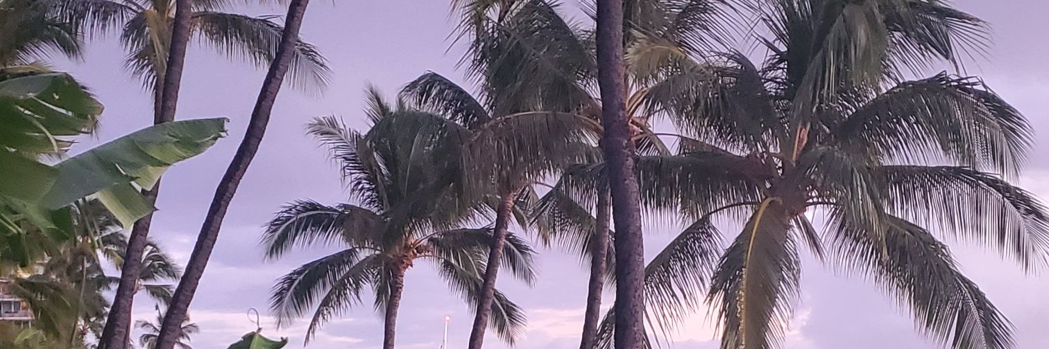 HayMcPecker's profile banner image