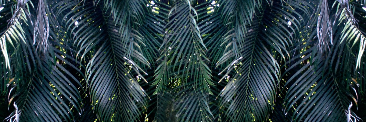Evablunt420's profile banner image