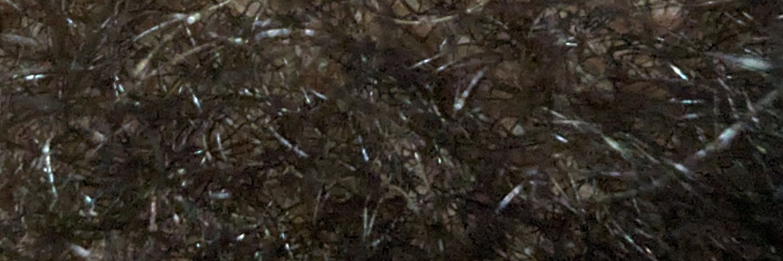 thebushgodhere's profile banner image