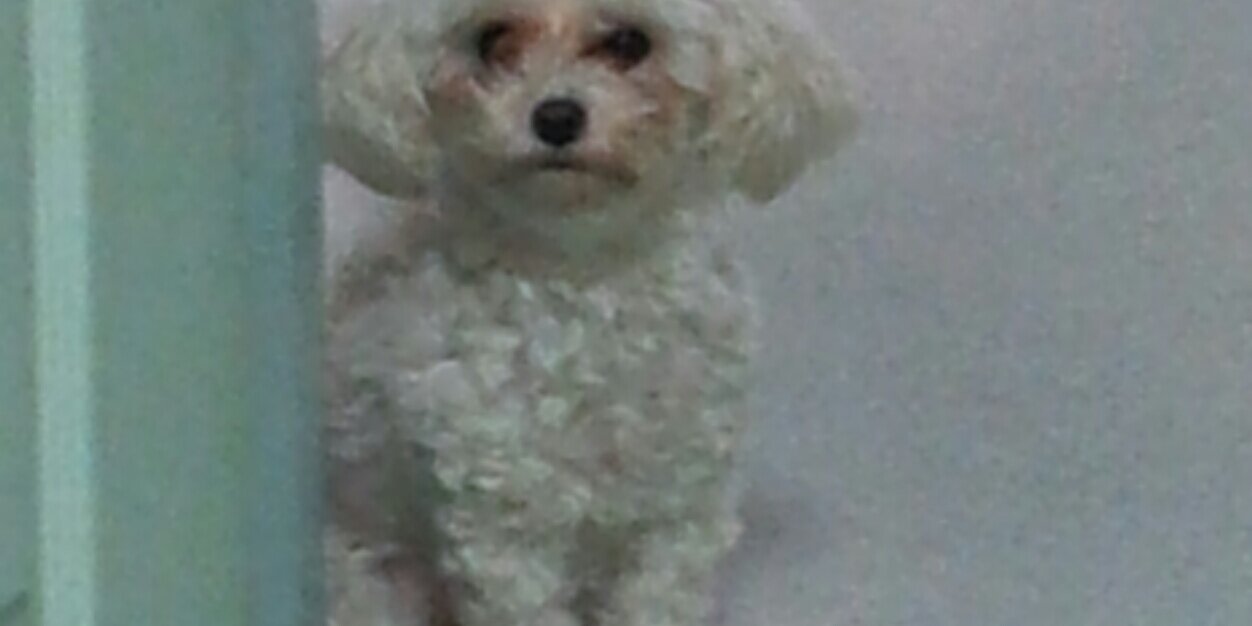 크로린 banner