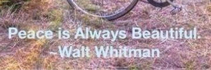 ml_walker's profile banner image