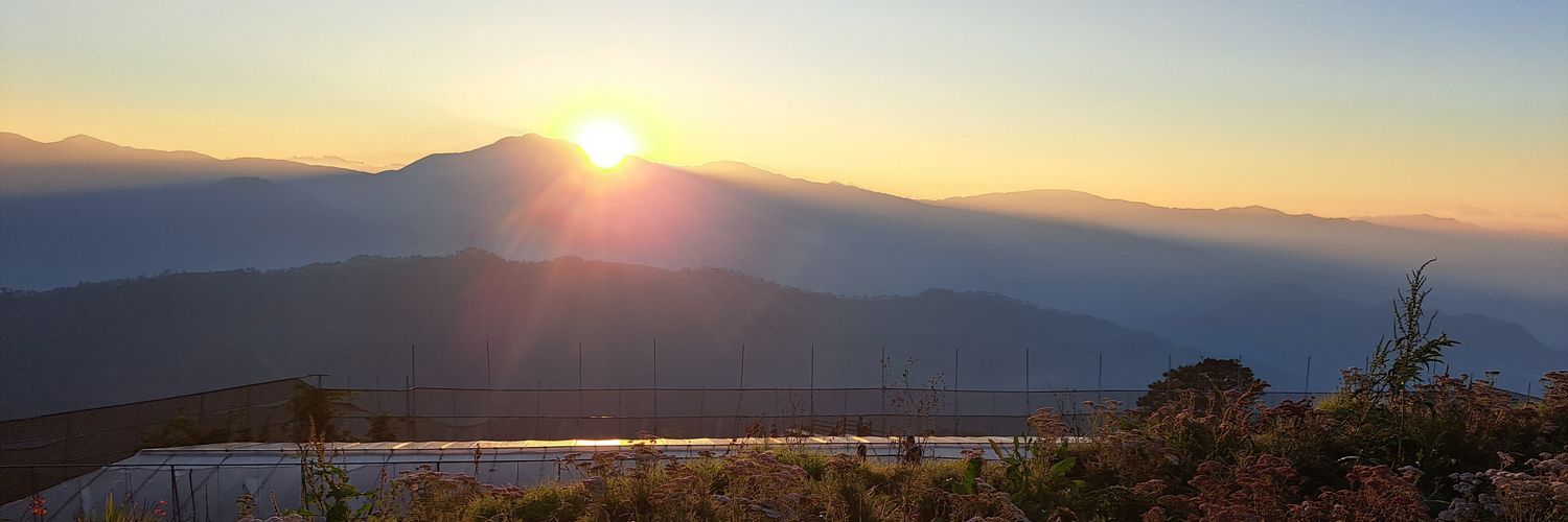 loicey's profile banner image