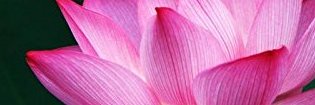 smartmailerjyes's profile banner image