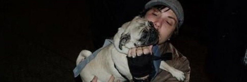 ☆┊frank iero of shedtwt |-/ banner