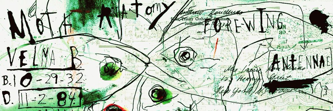 zombiefiedTesticle banner