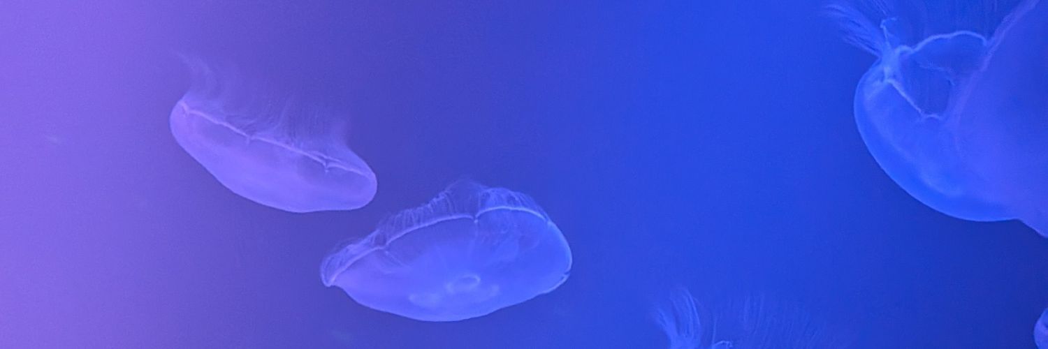 rin_n1392's profile banner image