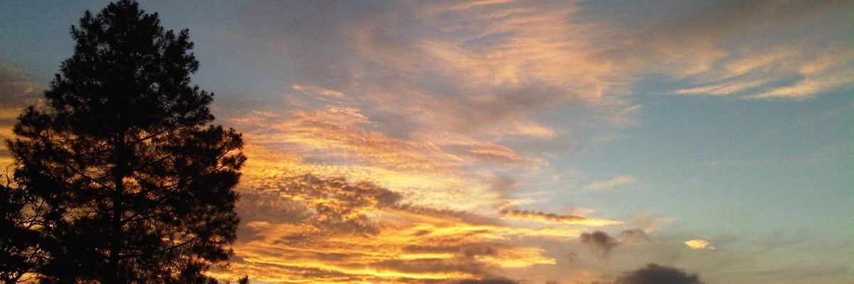 ntsylbs's profile banner image