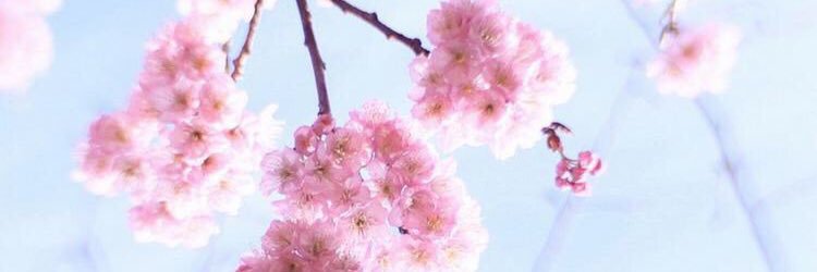 KLEiNWIFEY's profile banner image