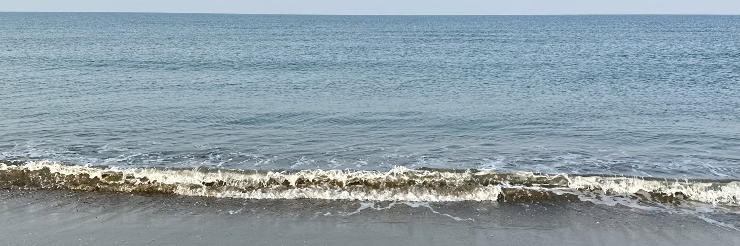 قلامور banner