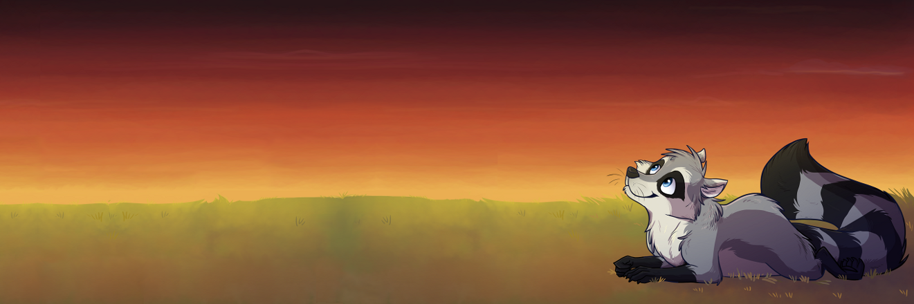 procyonir's profile banner image