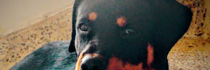 CESARBWS's profile banner image