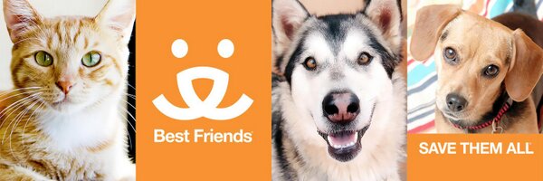 BFAS_Francis Profile Banner