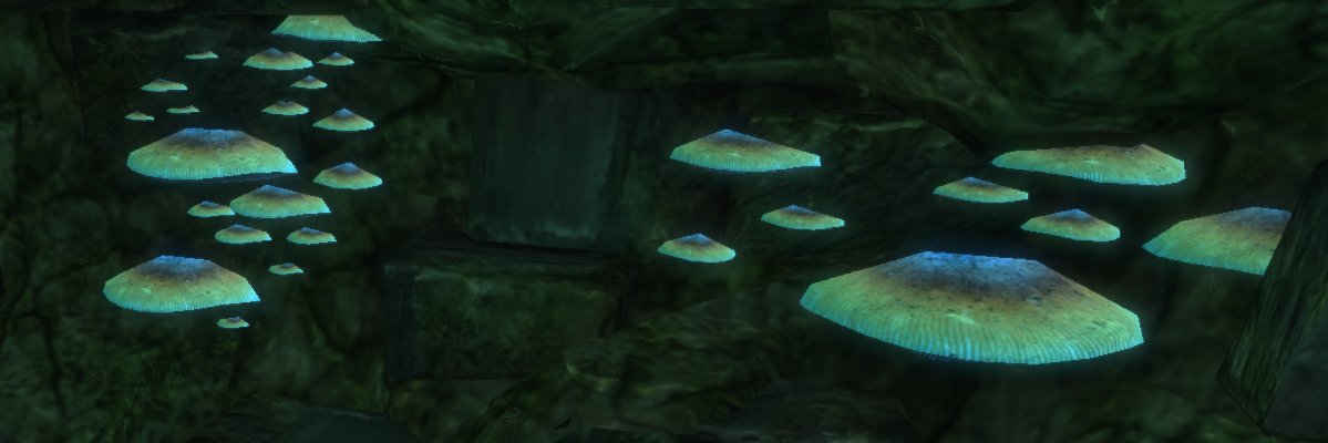 gluetun's profile banner image
