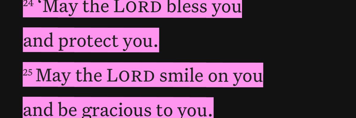 Hannah Anne Sullivan banner