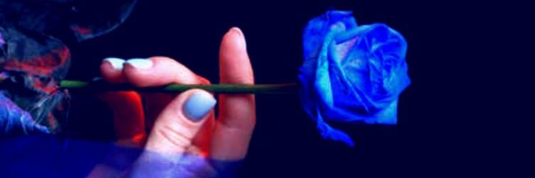 Ša𝒍𝒎a🦋 banner