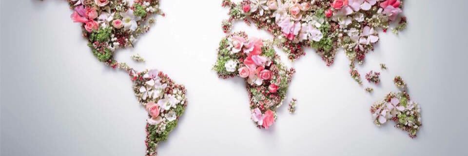 May_C7's profile banner image