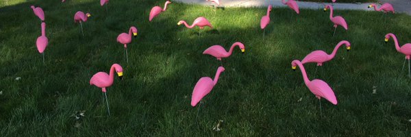 tedshumaker Profile Banner