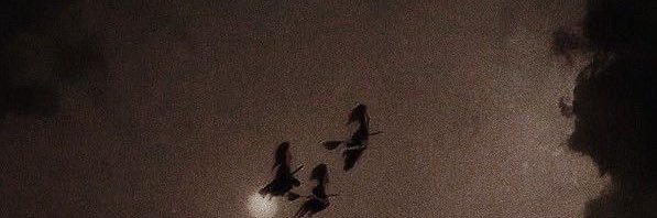 𝐚𝐫𝐜𝐚𝐝𝐢𝐚 🍂 banner