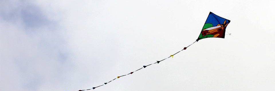 whathappened's profile banner image