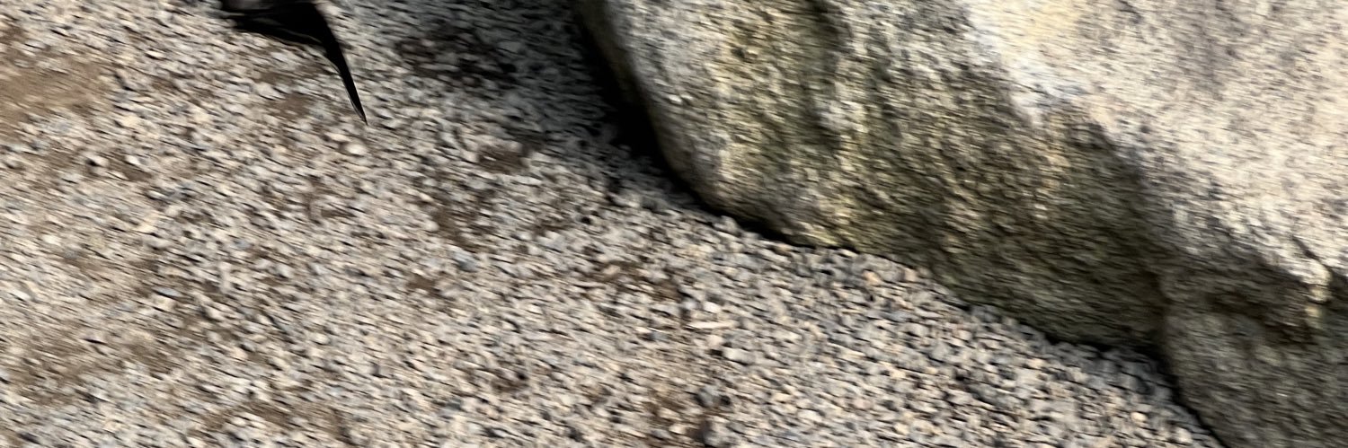 little bee banner