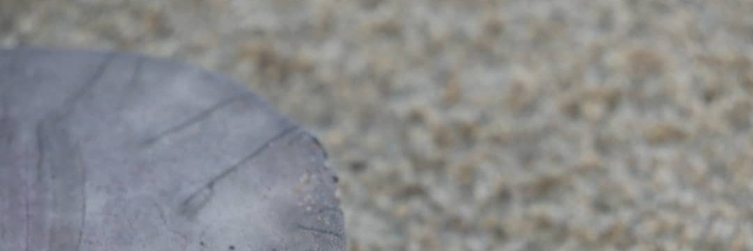 @axleyjc@federate.social (Jason Axley) banner