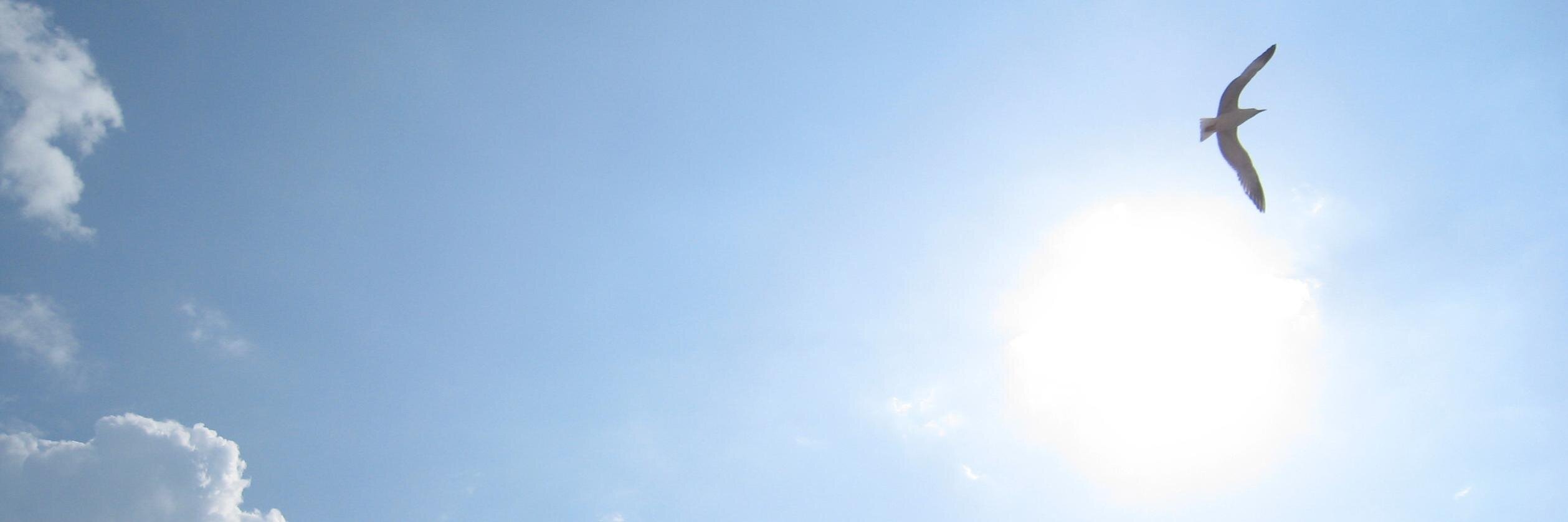 TisaCausevic's profile banner image