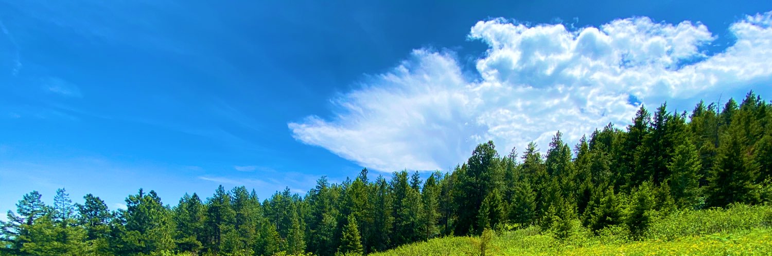 SHAKE YO TREES banner