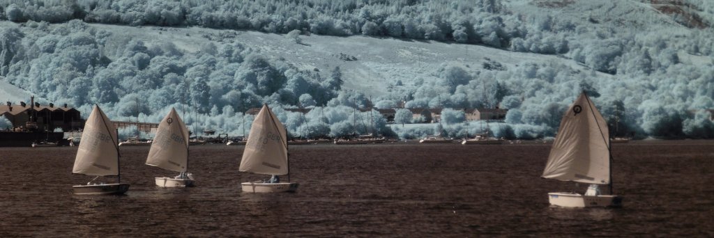 Austyn Allison banner