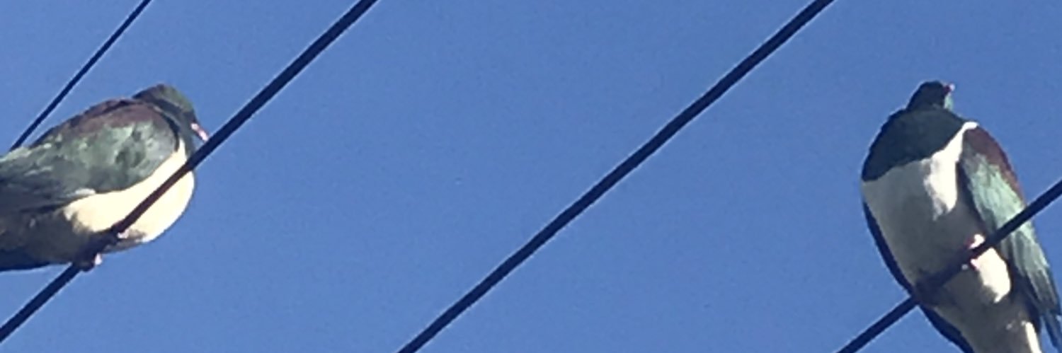 SezzaNZ's profile banner image