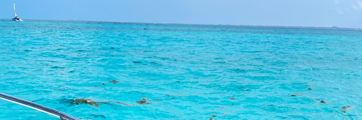 SavDunn's profile banner image