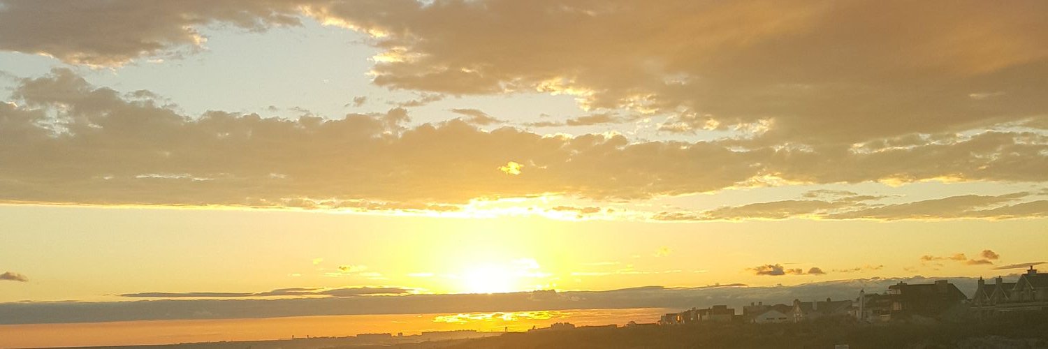 Mrrlhimself's profile banner image