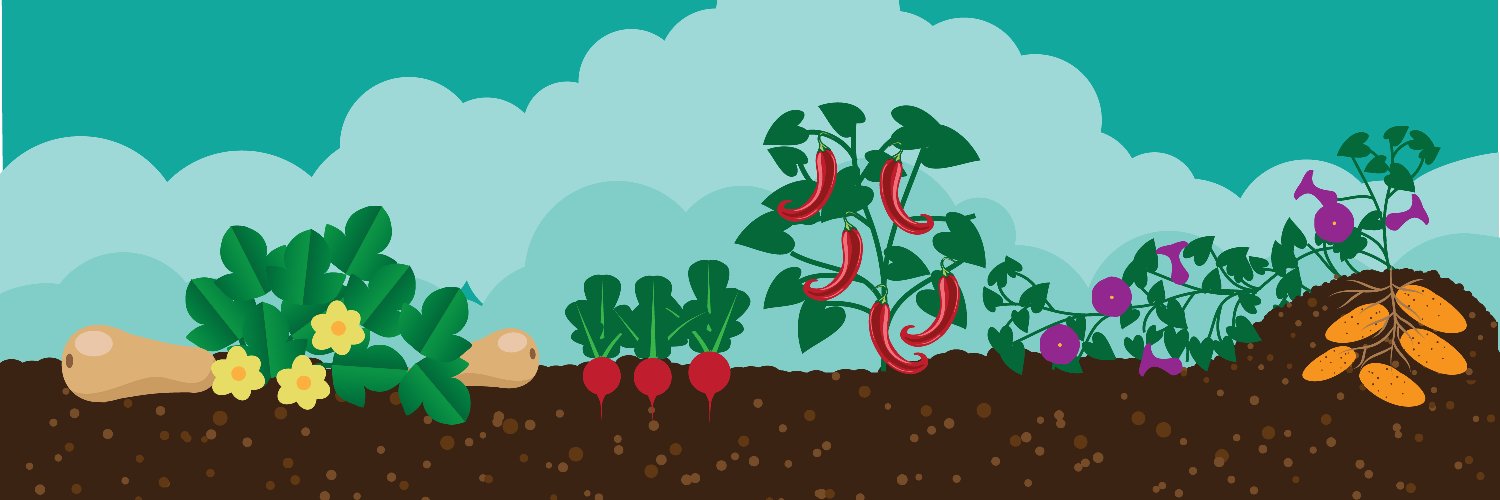 Lambeth Food Partnership banner