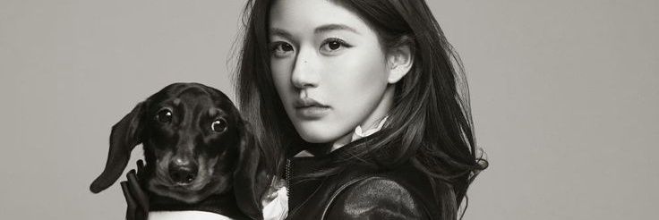 ⭐️🪨🐸 banner