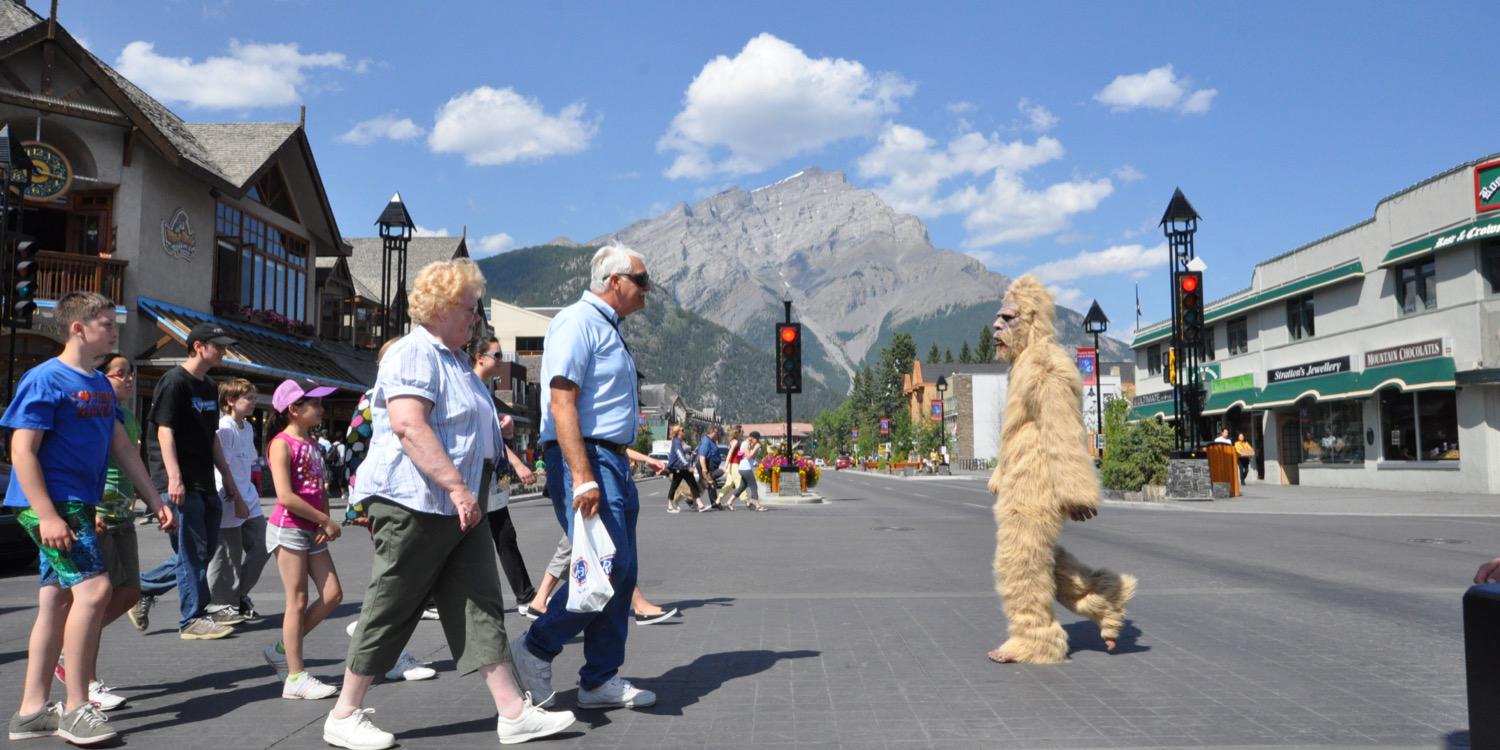 banffsasquatch's profile banner image